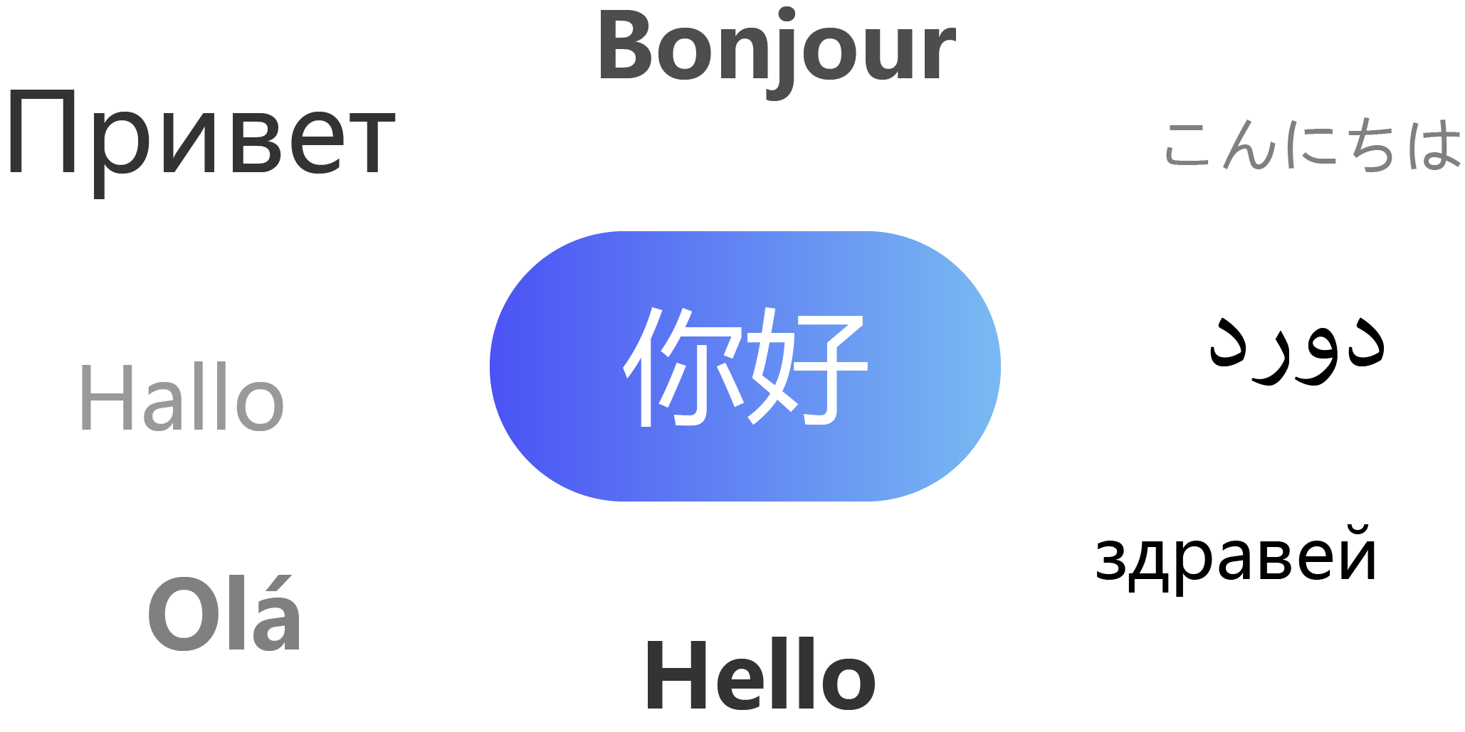 100多种语言支持